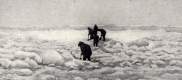 Amundsen et ses compagnons déblaient le terrain pour mettre le N25 en sécurité sur un grand glaçon.