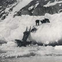 Un traîneau  de l'expédition Lauge Koch sur la banquise Nord.